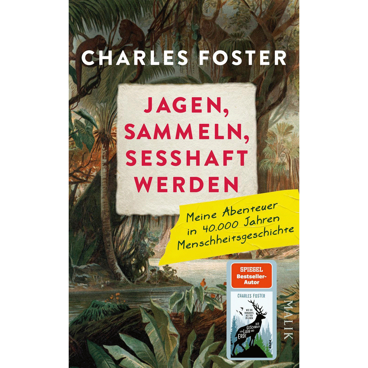 Jagen, sammeln, sesshaft werden: Meine Abenteuer in 40.000 Jahren Menschhei ... - Charles Foster