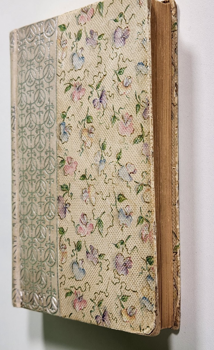 Black Beauty by Anna Sewell 1899 Donohue, Henneberry & Co Antique Classic Novel