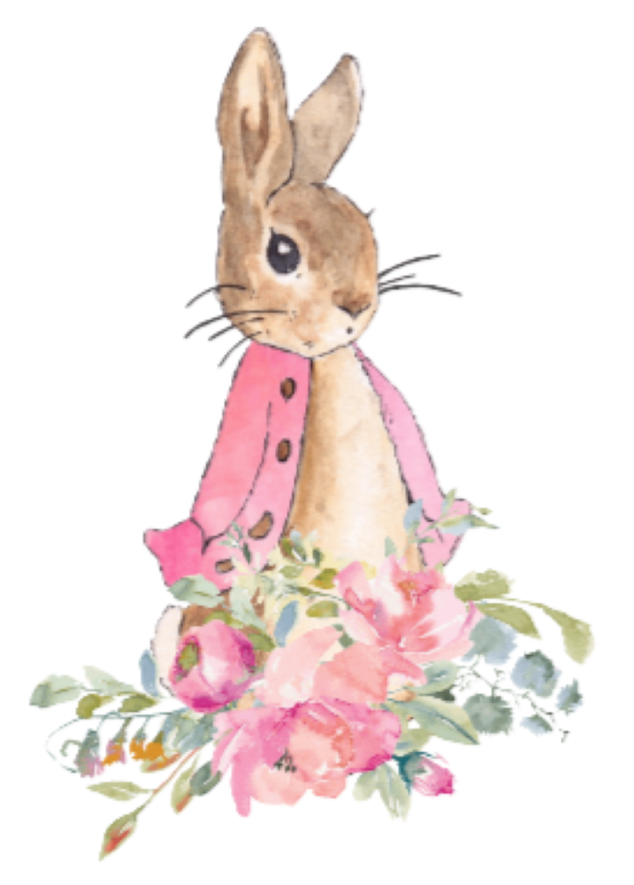Flopsy Rabbit Printable Flopsy Png