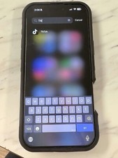 iPhone 16 Pro Max w/ TikTok