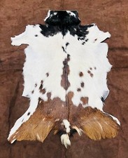 Trójkolorowa skóra kozie, skandynawski PELT, TAKSYDERMIA NORDYCKIEGO FUTRA, skóra zwierząt