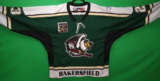 Bakersfield Condors Hockey Jersey #23 Wes Swinson 56 Green SP WCHL