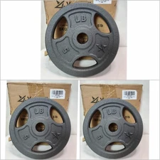 Yes4All Standard 1"Cast Iron Weight Plate Ideal for Training 5Lb, Single- 3 Pack
