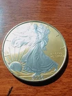 2006 1 oz American .999 Silver Eagle Coin With Gold Background