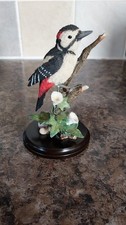 Country Artists Great Spotted Woodpecker