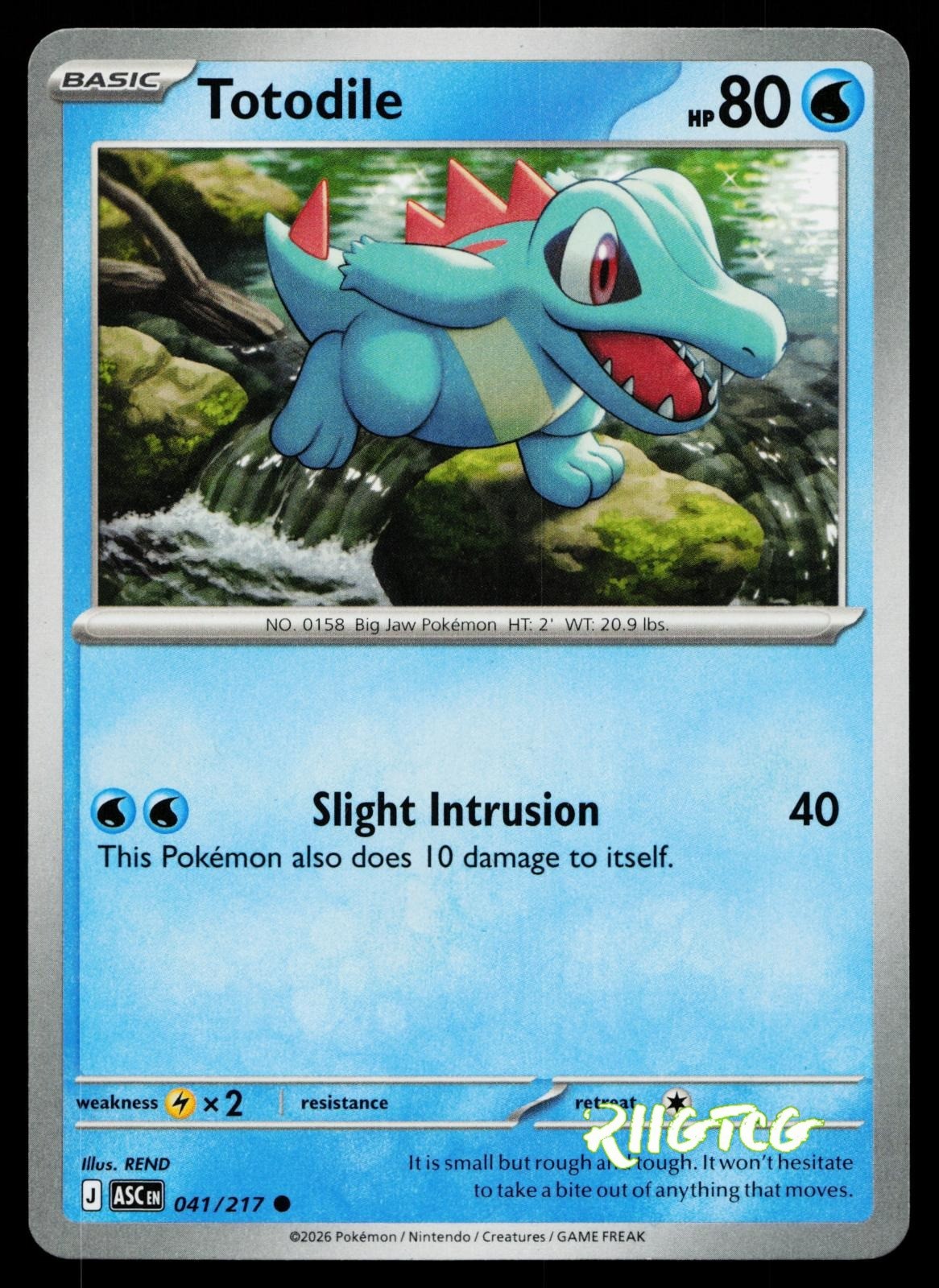 Totodile 041/217 Ascended Heroes Pokemon NM