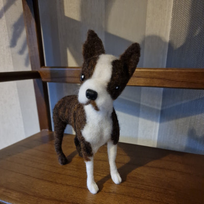 Nadelfilz Hund