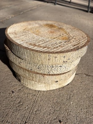 Set of 4 Natural Aspen Wood Slices Unfinished Round Slabs. Perfect for Crafts!