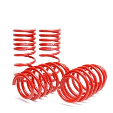 SKUNK2 RACING LOWERING SPRINGS FOR 2006-2011 HONDA CIVIC DX LX EX SI COUPE SEDAN