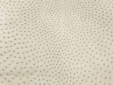 Ostrich Skin Leather Ivory Color SF