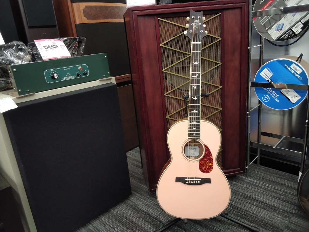 PRS P20E Electric Acoustic Guitar-01 | eBay