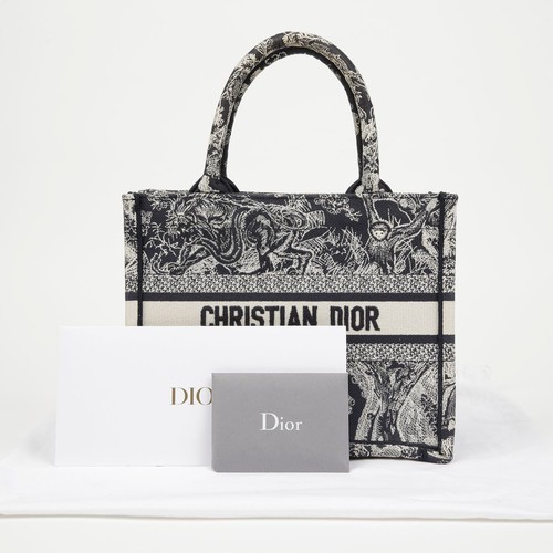 Dior M1265ZRGO Book Tote Small Tote Bag 156352195