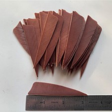 50PCS 3inch Brown Shield Fletches Feathers Fletching Vanes RW LW