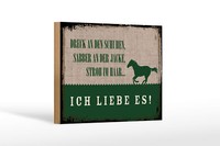 Holzschild Spruch 12X18 Cm Stroh Im Haar Ich Liebe Es Pferd Deko Schild