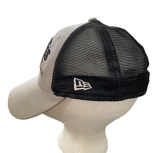 Houston Astros 2021 Hat New Era 9Forty World Series MLB Champs Snapback Gray - Picture 2 of 13