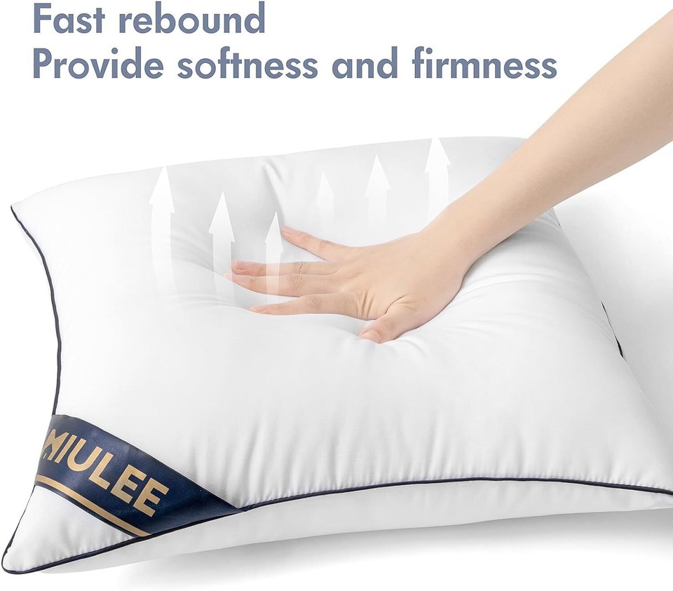 24x24 Euro Pillow Inserts Set of 2 Throw Pillows Couch (24x24 inch, Set of 2) eBay