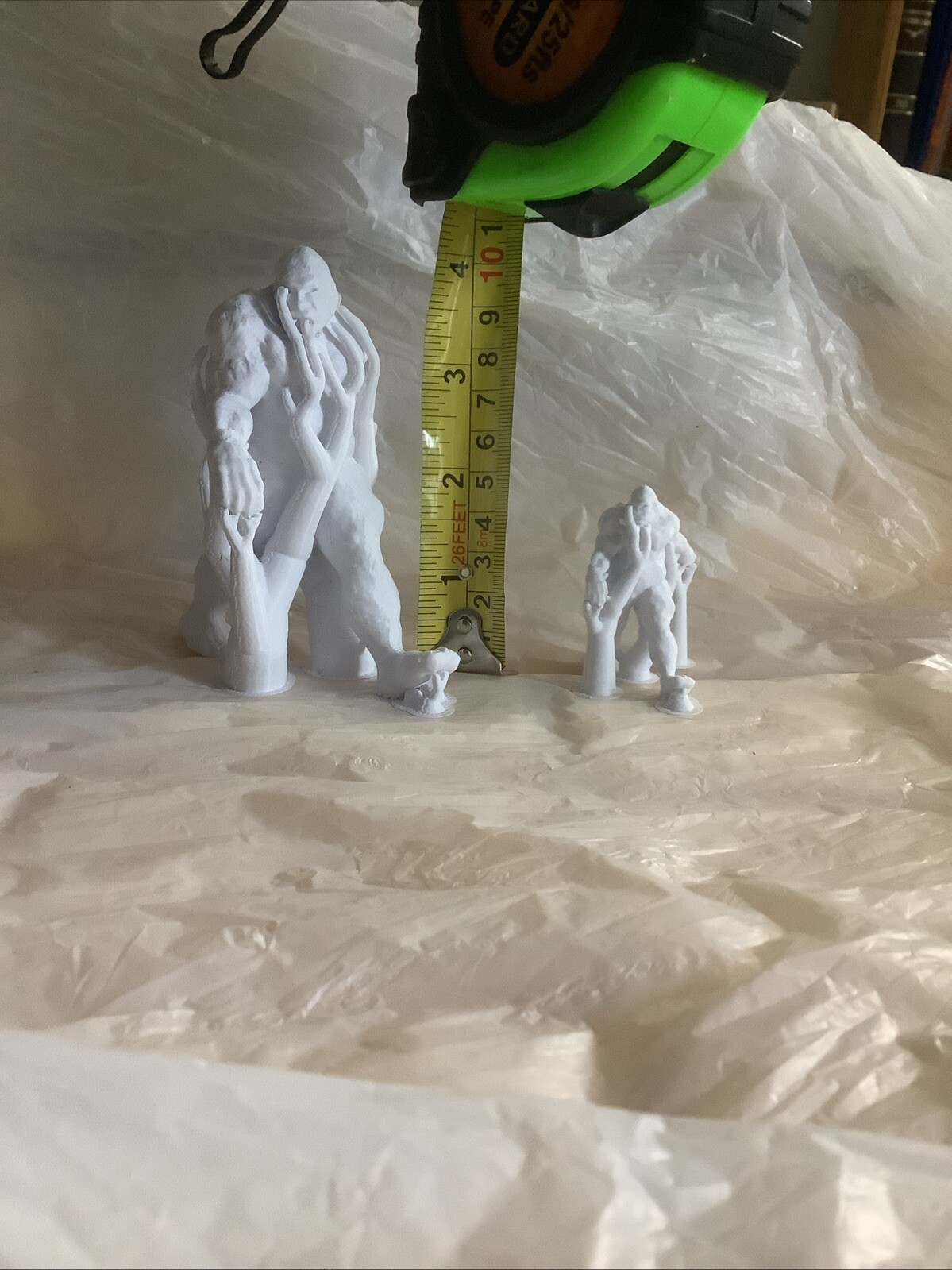 Picture 3 of 12