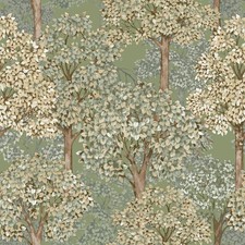 Image of 12322 - Little Explorers 2 Woodland Green Galerie Wallpaper