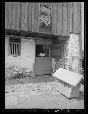 Photo:Birdsboro Pennsylvania 1938 Dallas E Glass Farm Chicken House Barn