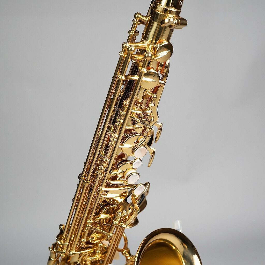 新品未使用品 YANAGISAWA Alto Saxophone A-WO1 Yanagisawa A-WO1 Alto Sax – United States
