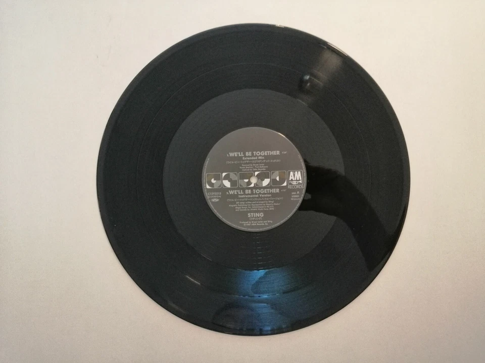 Sting - We'll Be Together - Conversation dog - Japan Vinyl OBI Ins - C12Y-3213 - Image 4 of 4