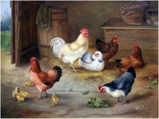 Chickens Rooster in a Barn Accent Tile Mural Kitchen Wall Backsplash Ceramic