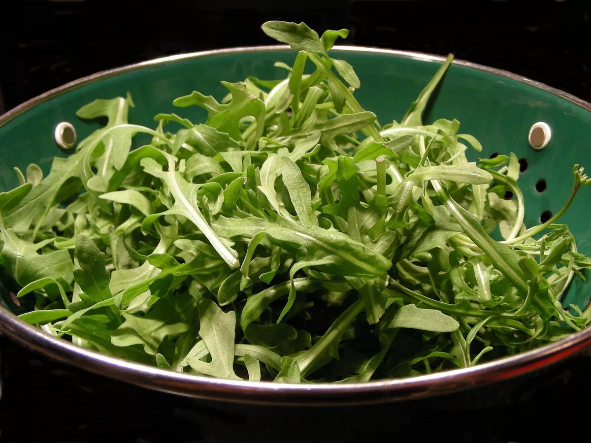 Arugula - Rocket Salat (Roquette) Heirloom Seeds