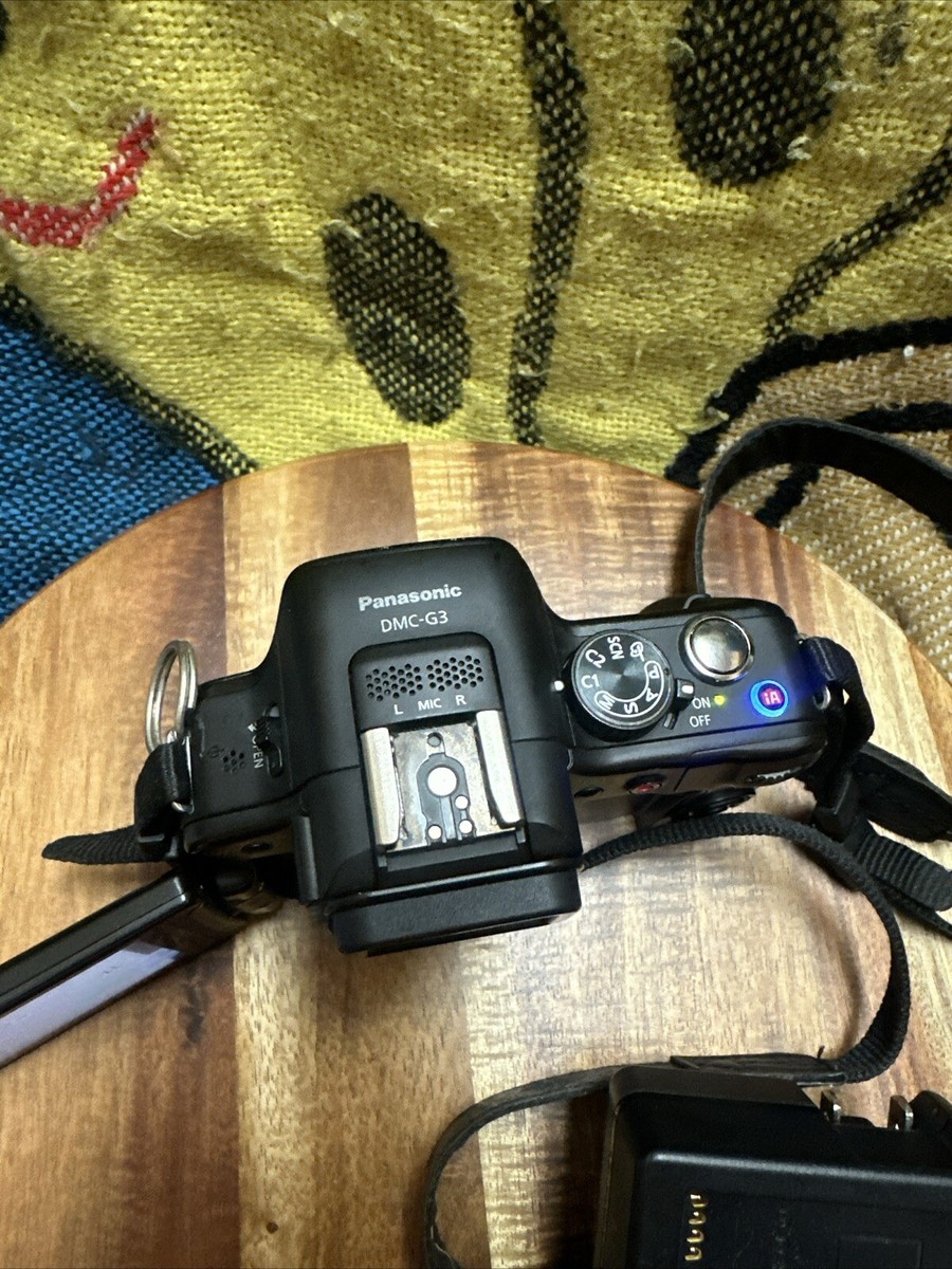 Panasonic LUMIX DMC-G3 16.0MP Digital Camera - Black (Body Only