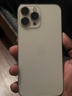 iPhone 13 Pro Max With TikTok