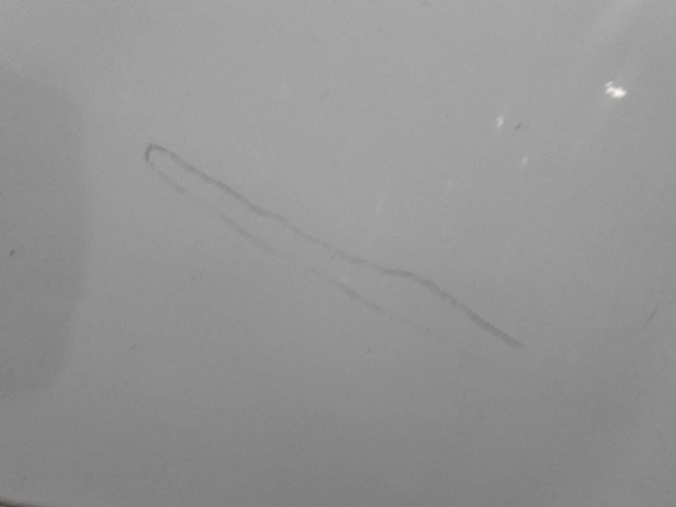 Driver Rear Side Door Crew Cab Fits 07-14 SIERRA 2500 PICKUP 583089 - Image 4 of 4