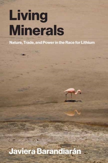 Living Minerals: Nature, Trade, and Power in the Race for Lithium (Urban and Industrial Environments) - Image 6