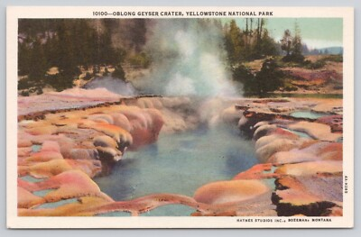 #ad Oblong Geyser Crater Yellowstone National Park Wyoming WY Postcard $3.69