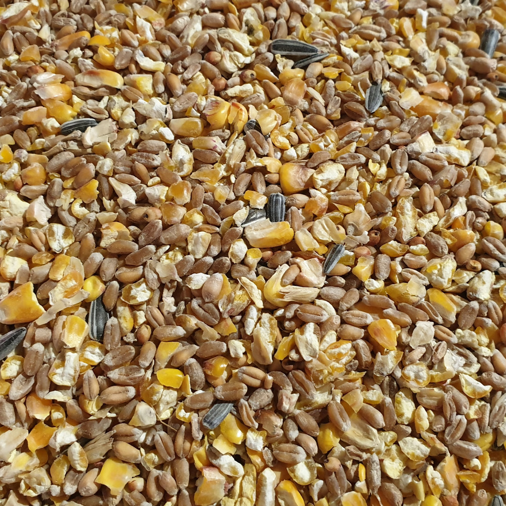 Aliment pour volaille Graines Universal 25 kg nourriture poule et oiseau basse-cour