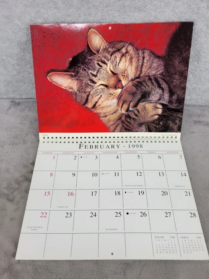Calendario de compromiso Smith-Southwestern 1998 gatos organizador encuadernado en espiral Foto 3 de 4