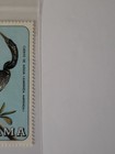 Vintage Panama Stamp 1/2 C Anhinga Snakebird Waterbird Collectible — photo 3