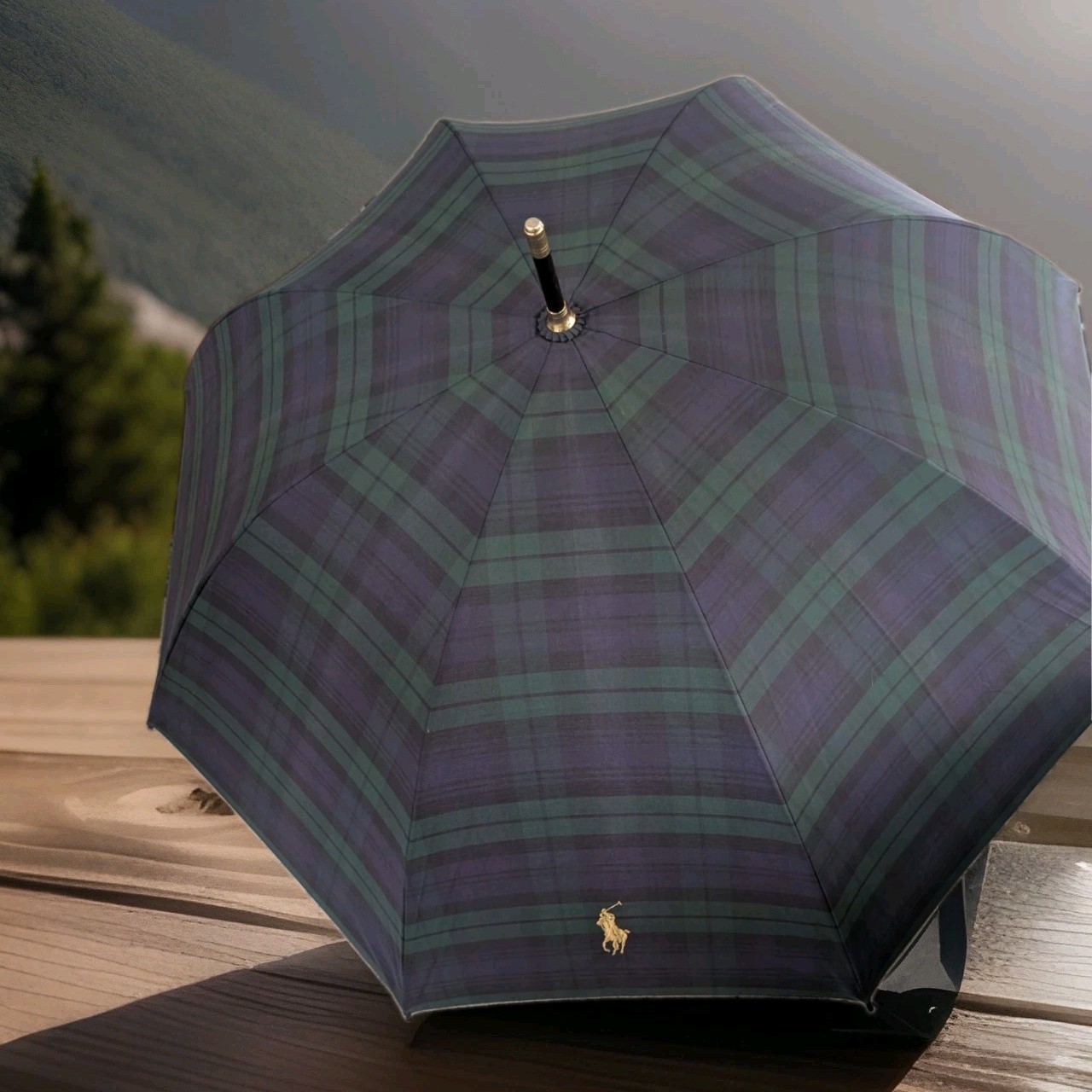 Polo Ralph Lauren Umbrella Plaid Vintage Embroidered Gold