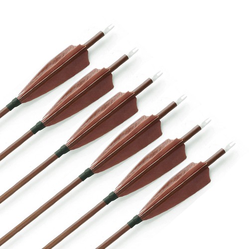 SP340-600 Pure Carbonpfeile Naturfedern 31 Zoll Jagdpfeilspitzen Bogenschießen - Picture 6 of 17