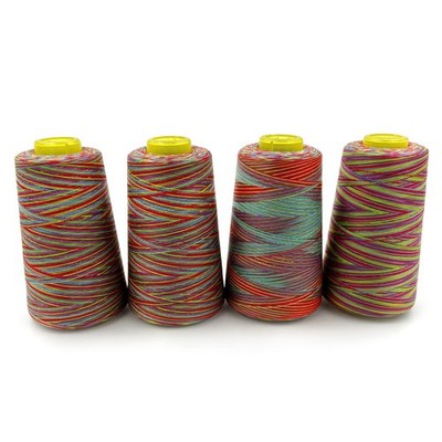4 PCS Rainbow 40S/2 Spool Sewing Thread 3000 Yards Serger Overlock Quilting