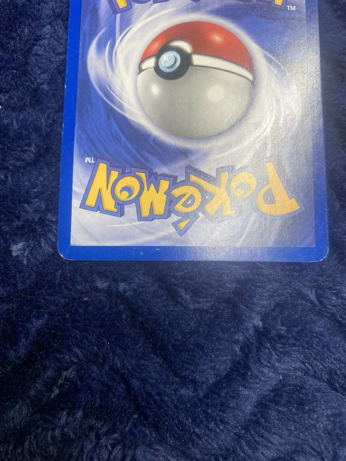 Picture 4 of 8