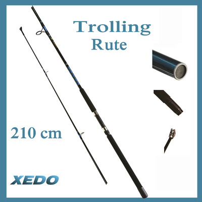 TROLLING BOAT PILK RUTE, 50 lbs. ANGELRUTE, 2TEILIG XEDO BIG GAME, 210cm, STABIL