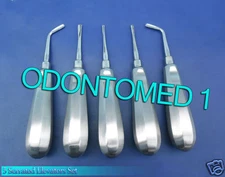 5 Serrated Elevators Set Dental Extraction Instruments 