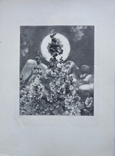 Lithografie DDR Ursula Mattheuer-Neustädt Mond und Liebende Paar Akte