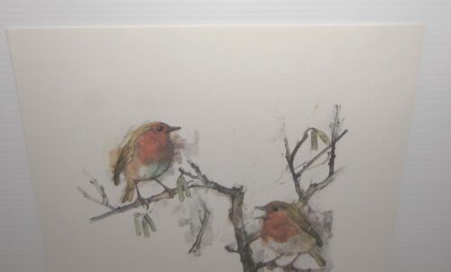 Schizzi vintage a quattro colori dell'artista Mads Stage - Pettirossi - Foto 6 di 8