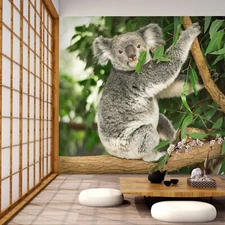 3D Tree Koala Animal ZHUA10530 Wallpaper Wall Murals Removable Self-adhesive Ann