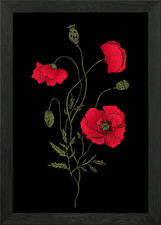 Red Poppy Flowers Framed Wall Art Poster Canvas Print Picture