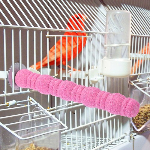 Dents Broyant Le Nid Doiseau Bird Perchecs officiel Cashatiels Stand Perroquet