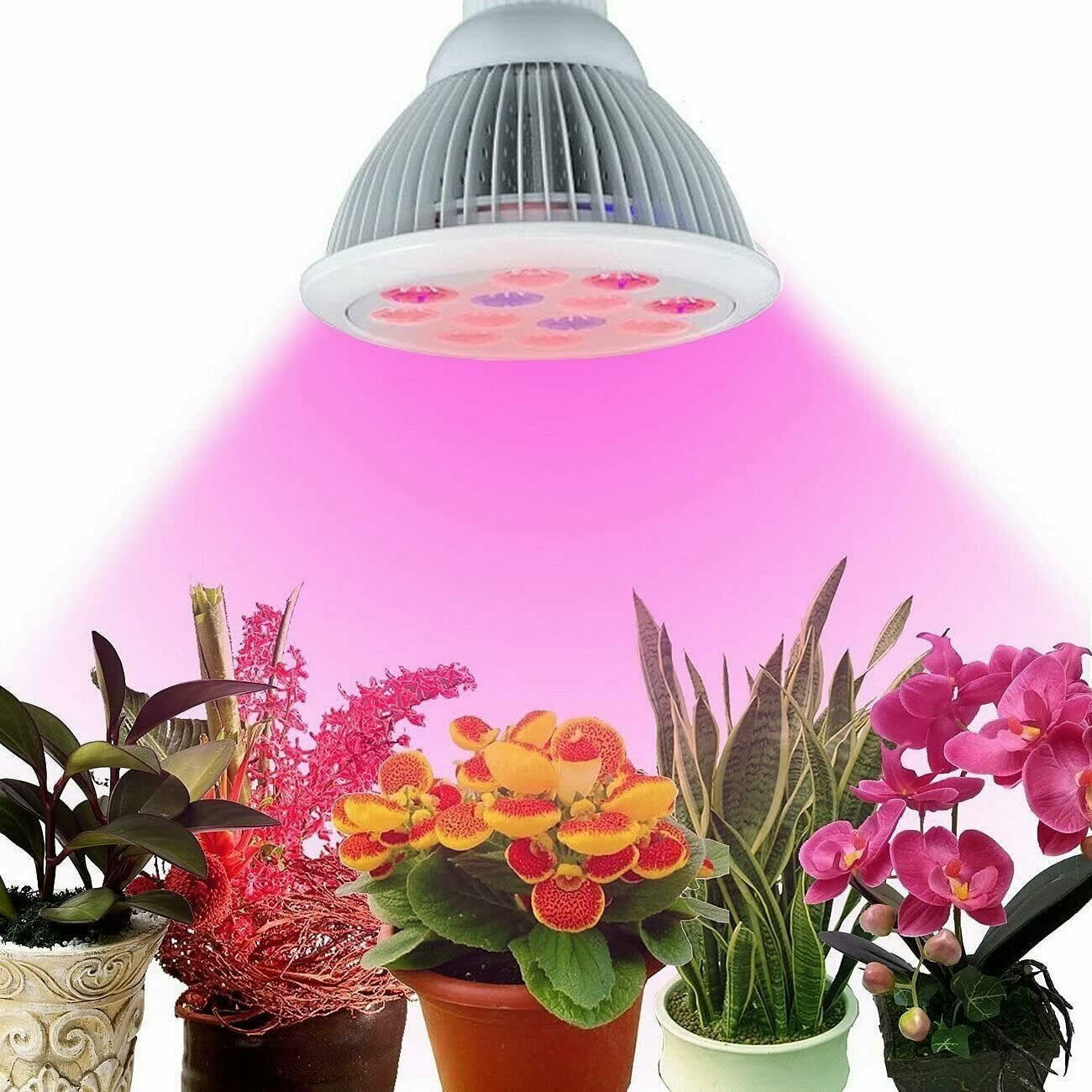 Bulb Full Spectrum Led Plant Light - Hydroponic Plants Veget