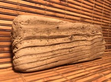 Beautiful 9" Driftwood Piece Terrarium Reptile Taxidermy Aquarium Beach Decor