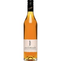 Giffard Abricot Du Roussillon (Aprikosen) Premium Liqueur 0,7 Liter 25% Vol.