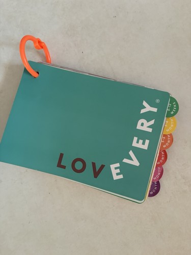 LOVEVERY Play Gym Guide Book – 0–12 Month Activities – Replacement Manual